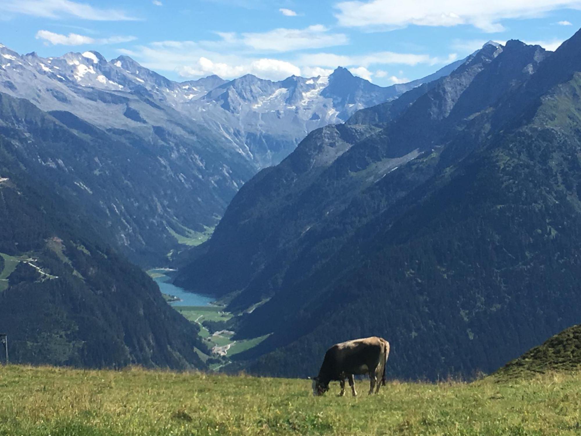 Landhaus Katharina Bis 12 Personen Mit Saunachalet Und Blick Auf Die Bergwelt Des Zillertals Hippach Exterior photo